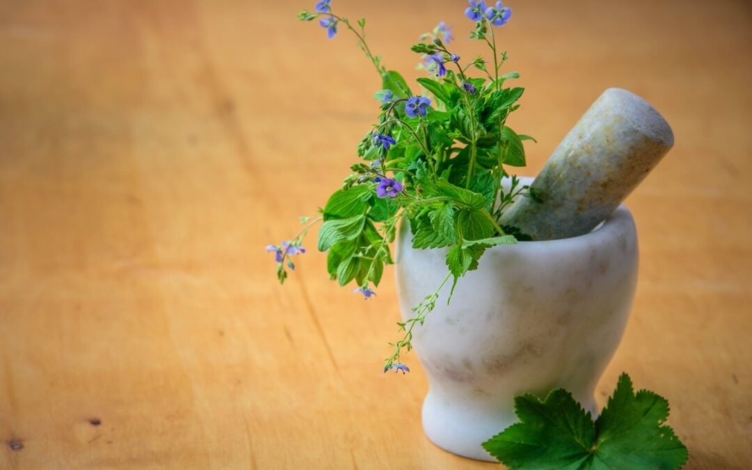 3 Myths About Natural Medicine—Debunked